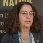 Why must forests be central to the path forward at COP30?
