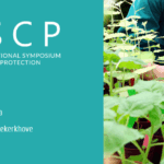 Cultivating Resilience: How Integrated Pest Management is Empowering Indonesian Farmers and Protecting Ecosystems